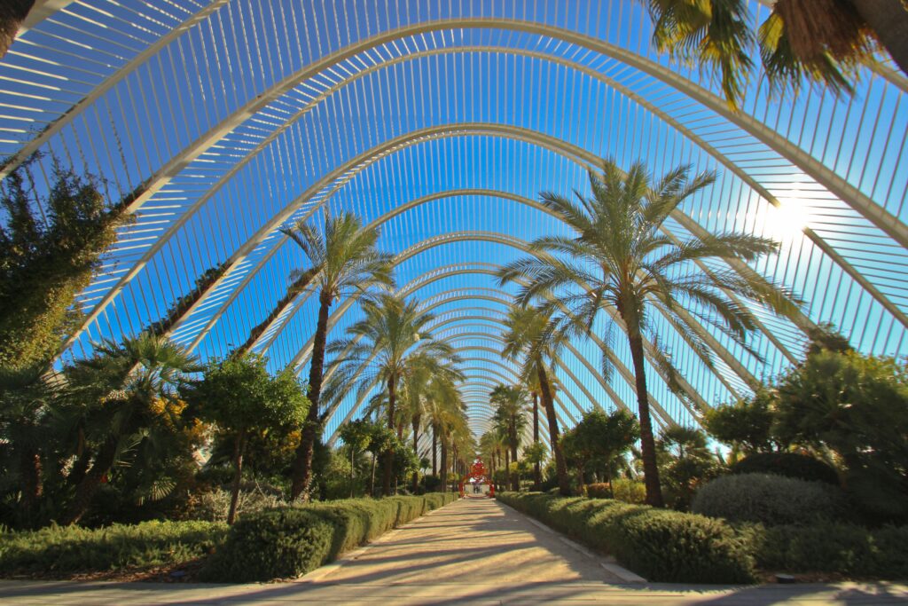 Explore the stunning arches and lush gardens of L’Umbracle in Valencia.