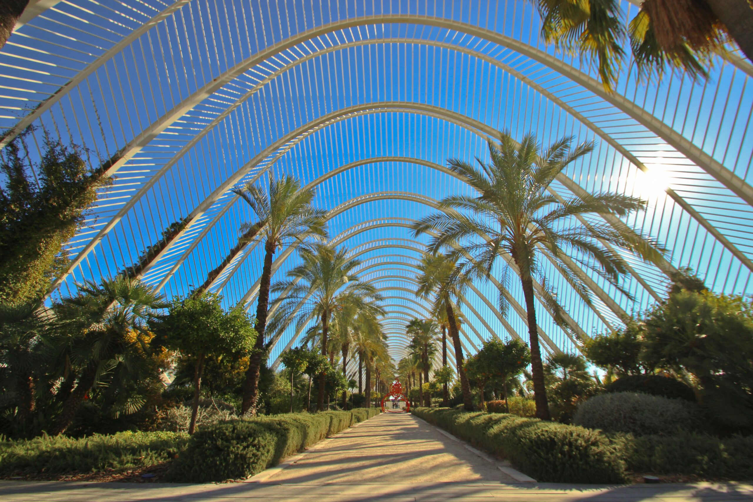 A propos Explore the stunning arches and lush gardens of L’Umbracle in Valencia.